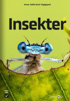 Insekter
