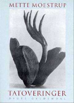 Bog, 1998