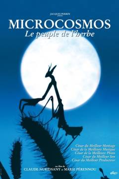 Film (dvd), 2006