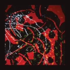 Nerve net
