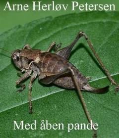 Med åben pande : soldat for Uniropa