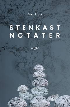 Stenkastnotater : digte