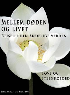 Mellem døden og livet : rejser i den åndelige verden
