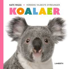 Koalaer