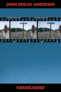 Værkelighed : essays om dansk litteratur