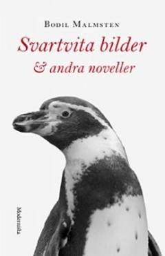 Svartvita bilder & andra noveller