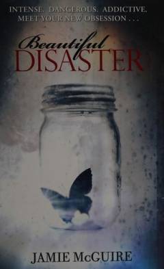 Beautiful disaster