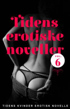 Tidens erotiske noveller : erotisk novelle. Vol. 6