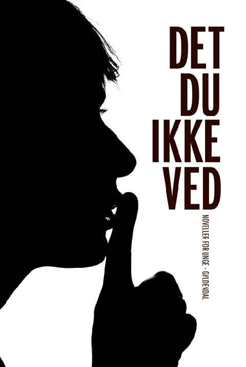 Det du ikke ved : noveller for unge