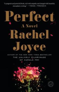 Perfect : a novel