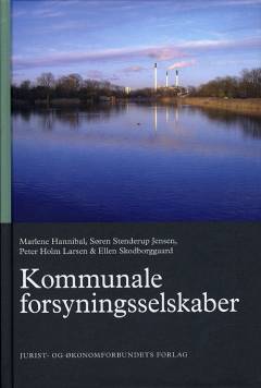 Kommunale forsyningsselskaber
