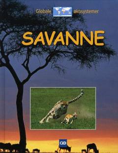 Savanne