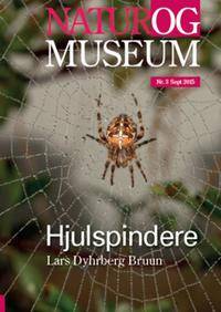 Hjulspindere