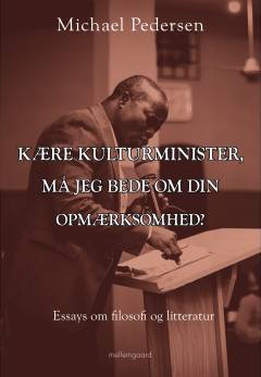 Kære kulturminister, må jeg bede om din opmærksomhed? : essays om filosofi og litteratur