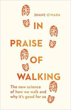 In praise of walking : the new science of how we walk and why it's good for us