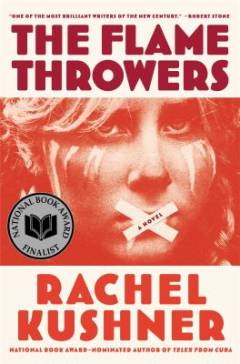 The flamethrowers : a novel