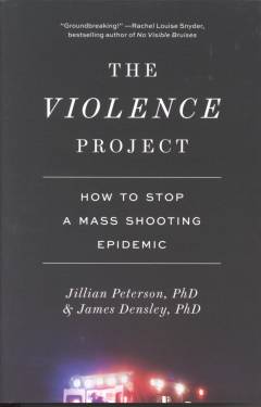 The violence project : how to stop a mass shooting epidemic