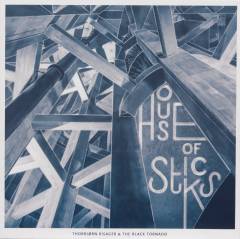 House of sticks