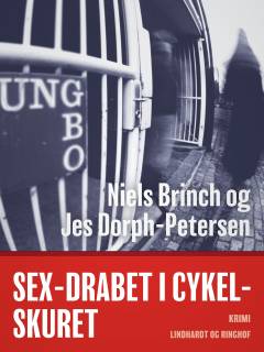 Sex-drabet i cykelskuret : krimi