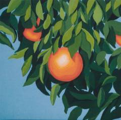 For the first time again