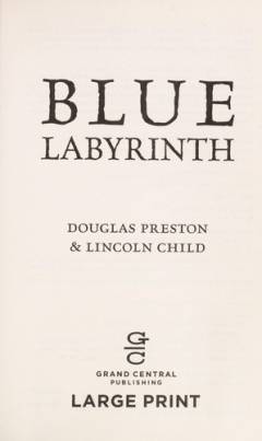 Blue labyrinth