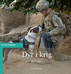 Bog, 1. udgave, 2013