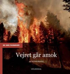 Vejret går amok