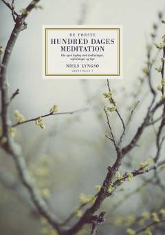 De første hundred dages meditation : din egen logbog med forklaringer, vejledninger og tips