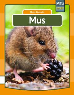 Mus