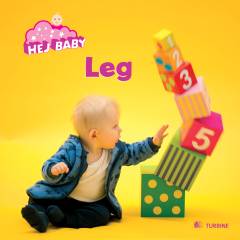 Leg