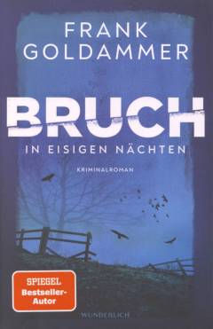 Bruch - in eisigen Nächten : Kriminalroman