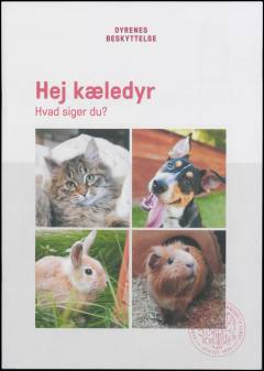 Hej kæledyr - hvad siger du?