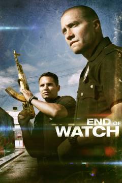 Film (dvd), 2013