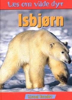 Isbjørn