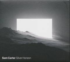 Silver horizon