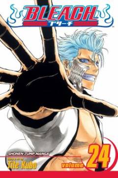 Bleach. Vol. 24 : Immanent God blues