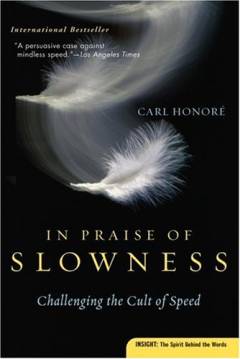 In praise of slowness : challenging the cult of speed