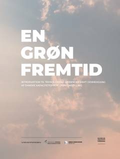 En grøn fremtid : introduktion til teknologiske løsninger samt gennemgang af danske kapaciteter for grøn omstilling