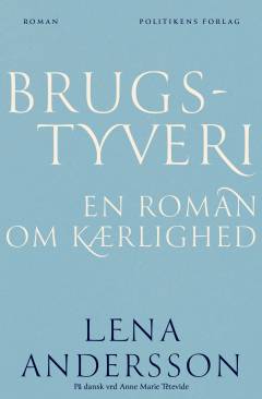 Brugstyveri : en roman om kærlighed
