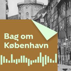 Forrykt : psykisk syge i historien