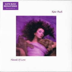 Hounds of love