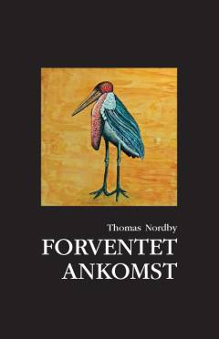 Forventet ankomst : trekantede fortællinger