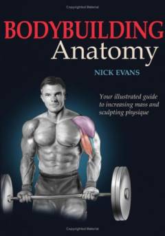 Bodybuilding anatomy
