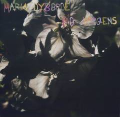 Counting the flowers