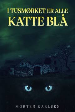 I tusmørket er alle katte blå