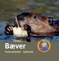 Bæver