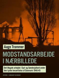 Modstandsarbejde i nærbillede : det illegale arbejde i Syd- og Sønderjylland under den tyske besættelse af Danmark 1940-45