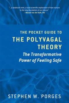 The pocket guide to polyvagal theory : the transformative power of feeling safe