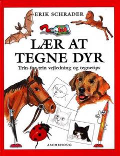 Bog, 1. udgave, 2001