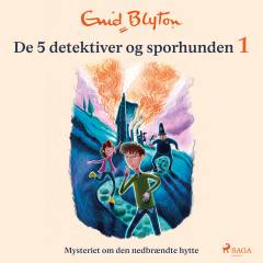 Mysteriet om den nedbrændte hytte